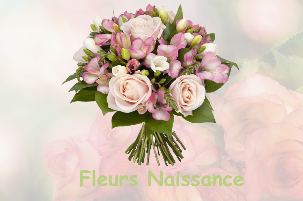 fleurs naissance BIERRY-LES-BELLES-FONTAINES